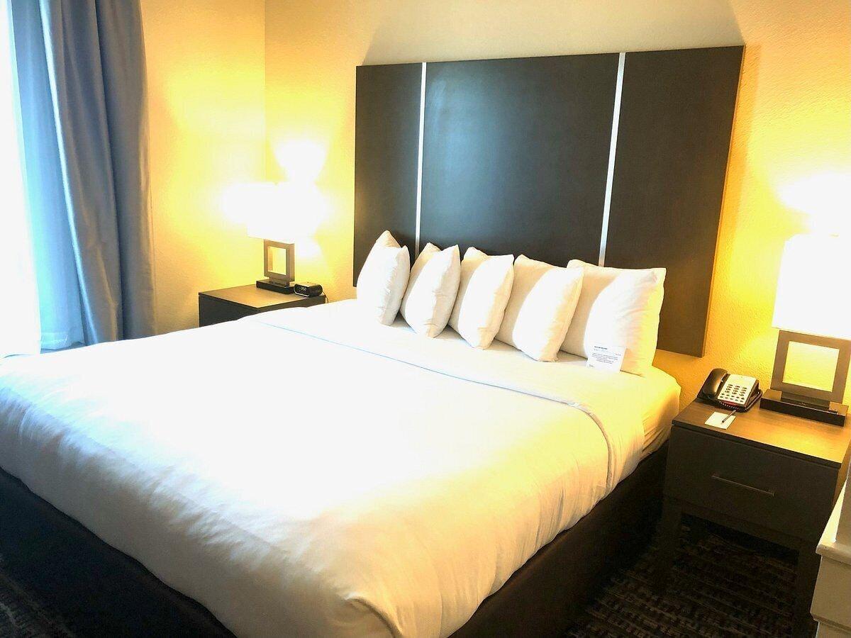Comfort Suites Near Sam Houston Race Park Екстер'єр фото